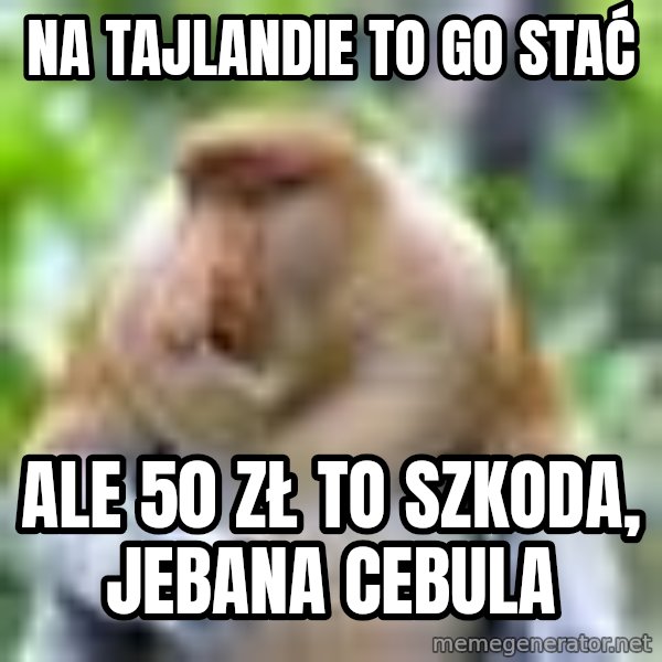 Nosacz Sundajski 22 meme: na tajlandie to go stać / ale 50 zł to szkoda, jebana cebula