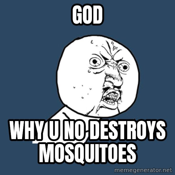 Y U No meme: god / why u no destroys mosquitoes