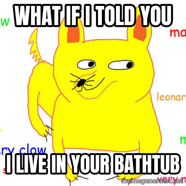 What If I Told You meme: what if i told you / i live in your bathtub