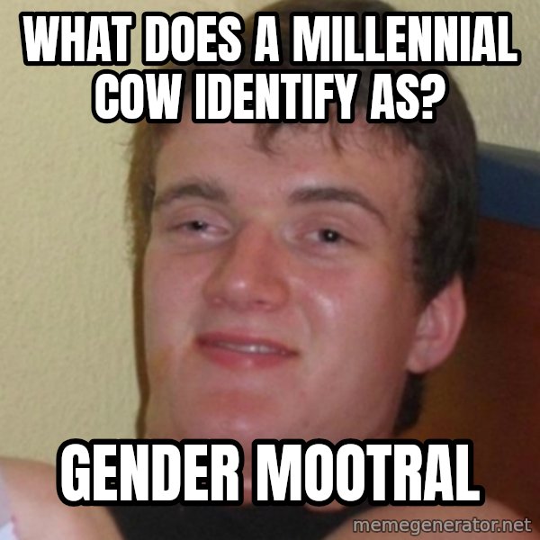 Stoner Stanley meme: what does a MILLENNIAL cow identify as? / gender mootral