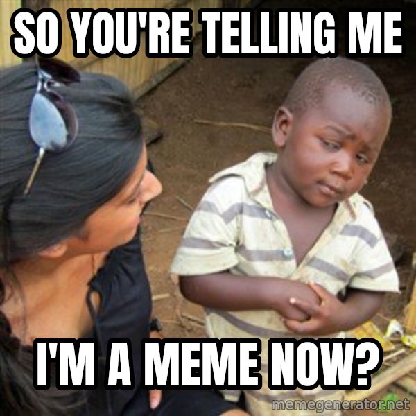 Skeptical 3rd World Kid meme: So you're telling me / I'm a meme now?