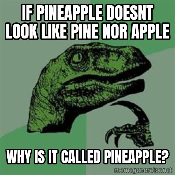 Philosoraptor meme: if pineapple doesnt look like pine nor apple / why is it called pineapple?