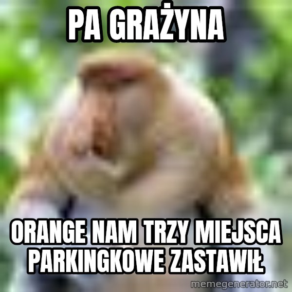 Nosacz Sundajski 22 meme: PA grażyna / Orange nam trzy miejsca parkingkowe zastawił