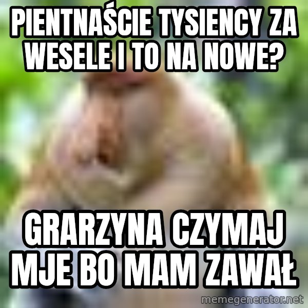 Nosacz Sundajski 22 meme: pientnaście tysiency za wesele i to na nowe? / grarzyna czymaj mje bo mam zawał