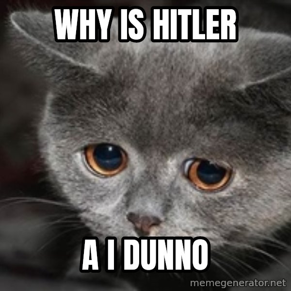 Sadcat meme: why is hitler / a i dunno