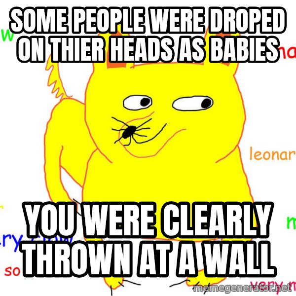 Grumpy Cat  meme: some people were droped on thier heads as babies / you were clearly thrown at a wall