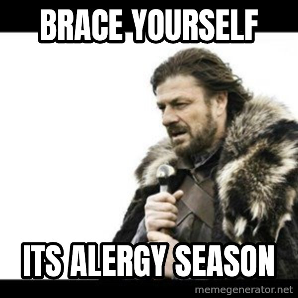 Winter is Coming meme: brace yourself / its alergy season