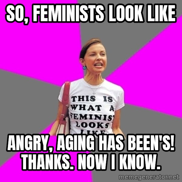 Feminist Cunt meme: So, Feminists look like / angry, aging has been's! Thanks. Now I know.