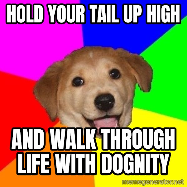 Advice Dog meme: hold your tail up high / and walk through life with dognity