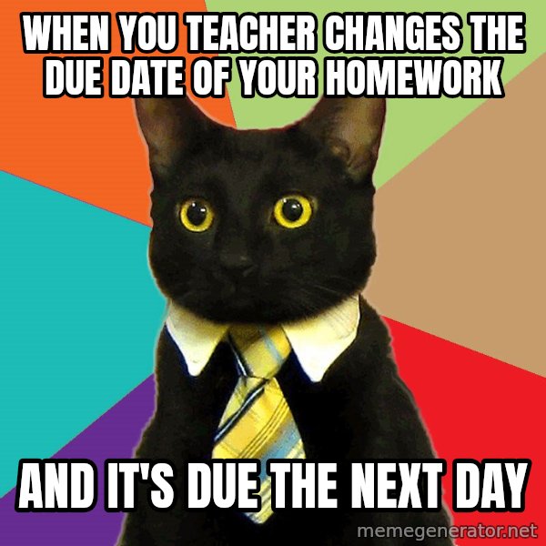 Business Cat meme: when you teacher changes the due date of your homework / and it's due the next day