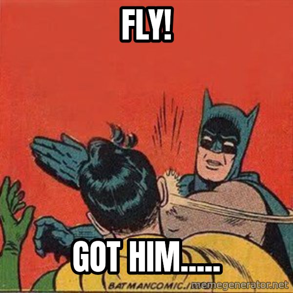 batman slap robin meme: FLY! / got him.....