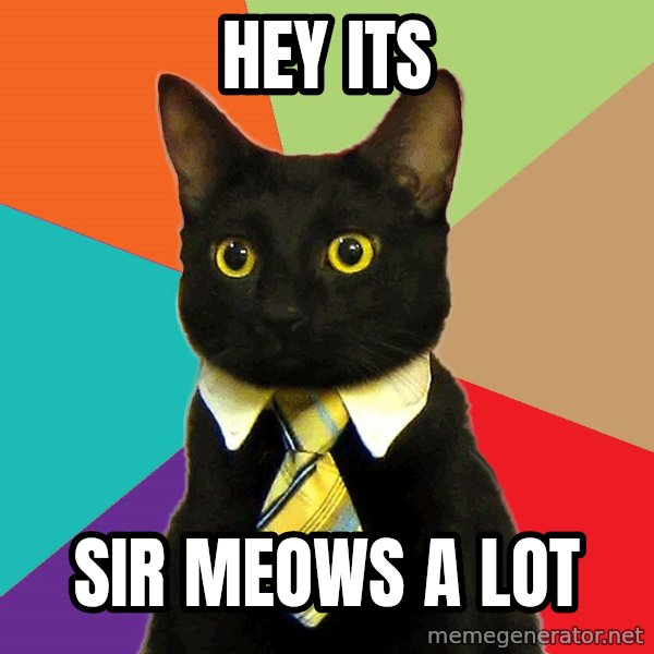 Business Cat meme: hey its / sir meows a lot