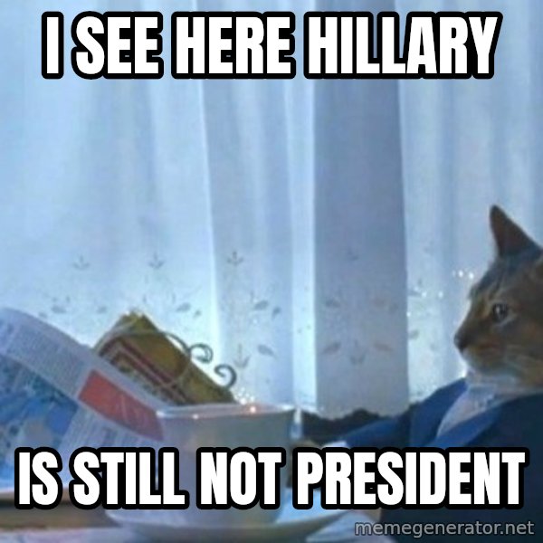 newspaper cat realization meme: i see here hillary / is still not president