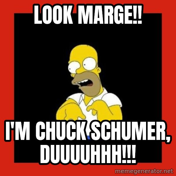 Homer retard meme: Look Marge!! / I'm Chuck Schumer, duuuuhhh!!!