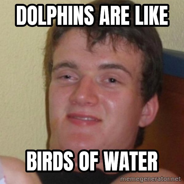 Stoner Stanley meme: dolphins are like / birds of water