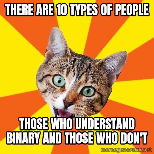 Bad Advice Cat meme: THERE ARE 10 TYPES OF PEOPLE / THOSE WHO UNDERSTAND BINARY AND THOSE WHO DON'T
