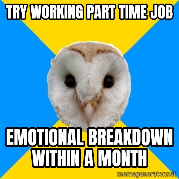 Bipolar Owl meme: Try Working PART TIME job / Emotional Breakdown Within A month
