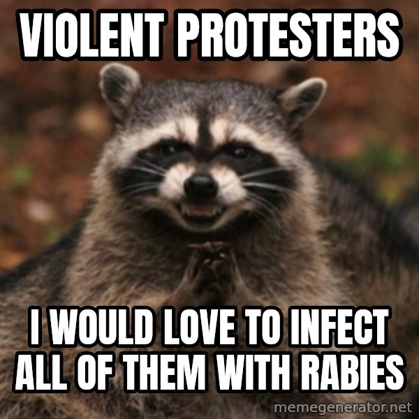 evil raccoon meme: Violent protesters / I would love to infect all of them with rabies