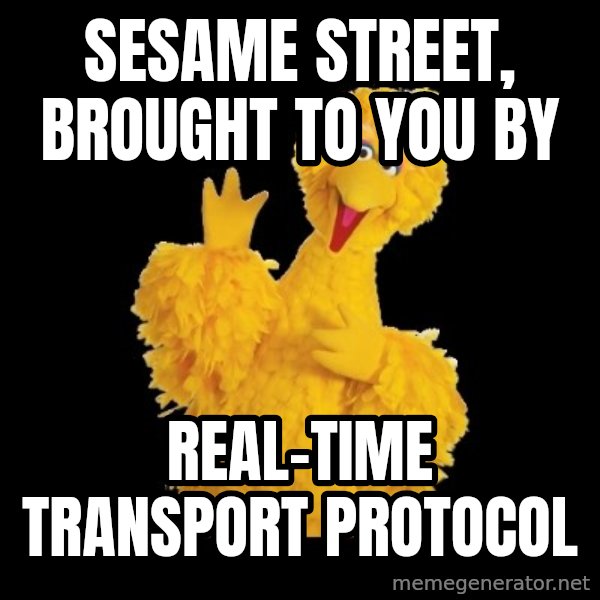 BIG BIRD meme meme: sesame street, brought to you by / real-time transport protocol