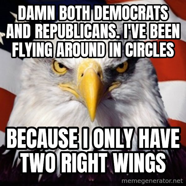 Freedom Eagle  meme: damn both democrats and republicans. i've been flying around in circles / because i only have two right wings