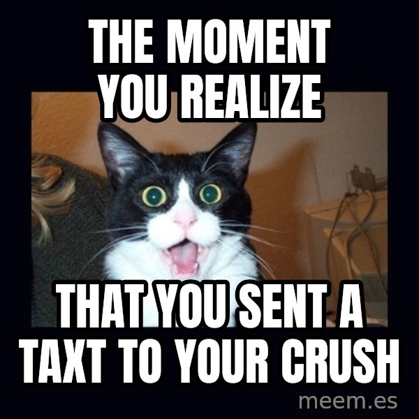 shocked cat meme: The moment you realize / that you sent a taxt to your crush