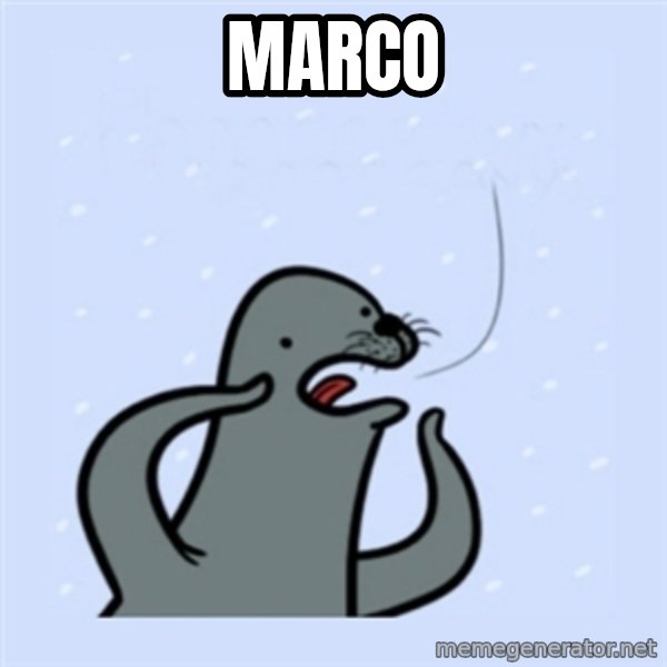 gay seal meme: MARCO