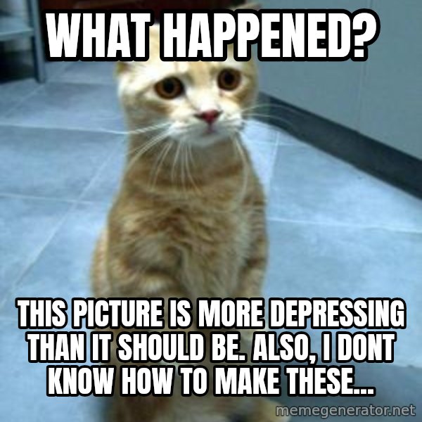 Sadcat meme: what happened? / this picture is more depressing than it should be. also, i dont know how to make these...