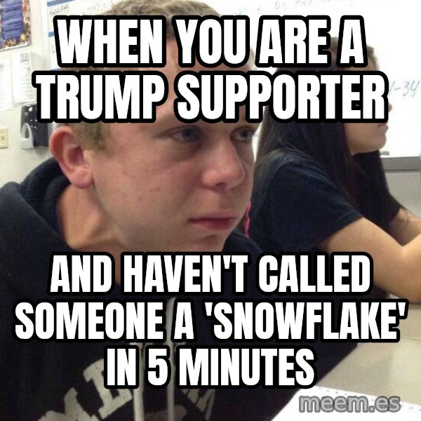 When you haven't told anyone in 5 minutes meme: when you are a trump supporter / and haven't called someone a 'snowflake' in 5 minutes