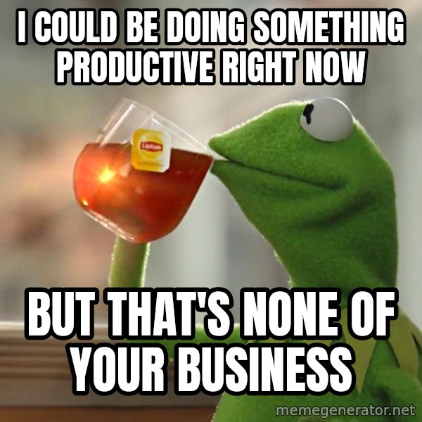 Kermit The Frog Drinking Tea meme: I Could be doing something productive right now / But that's None of your business