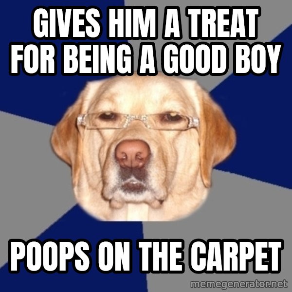 Racist Dog meme: gives him a treat for being a good boy / poops on the carpet