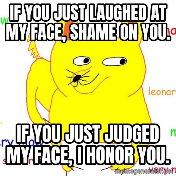 Grumpy Cat  meme: If you just laughed at my face, shame on you. / If you just judged my face, i honor you.
