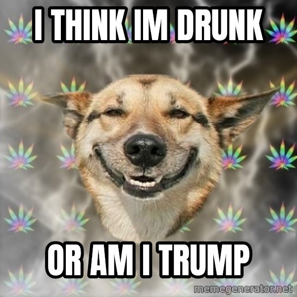 Stoner Dog meme: i think im drunk / or am i trump