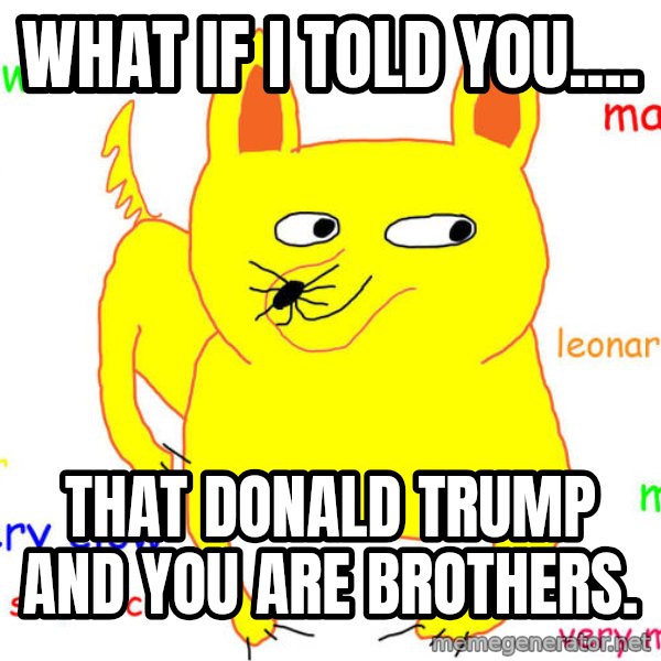 What If I Told You meme: what if i told you.... / that donald trump and you are brothers.