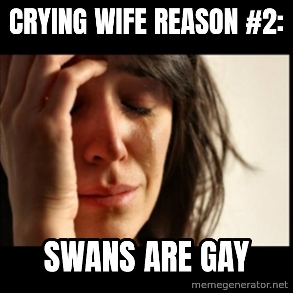 First World Problems meme: Crying wife reason #2: / swans are gay