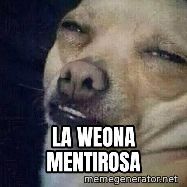 Perro el ql mentiroso meme: La weona mentirosa