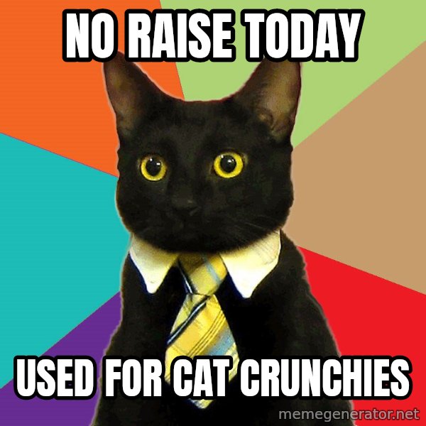 Business Cat meme: no raise today / used for cat crunchies