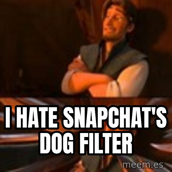 flynn rider swords meme: i hate snapchat's dog filter