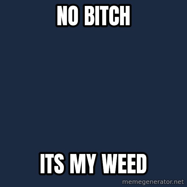 Hipster Ariel meme: no bitch / its my weed