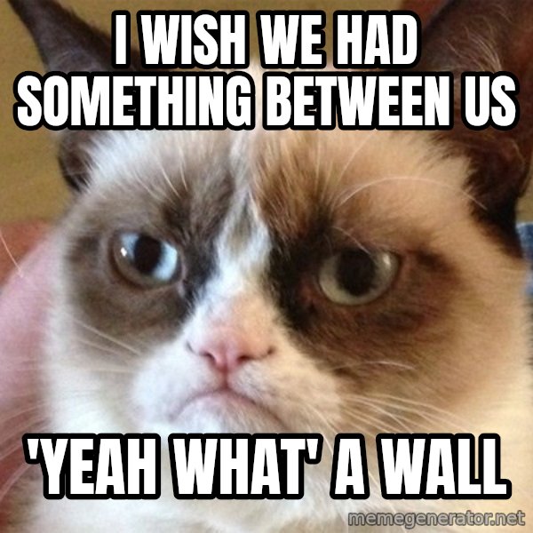 Angry Cat Meme meme: i wish we had something between us / 'yeah what' a wall