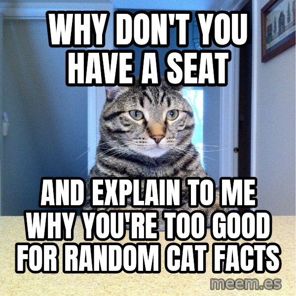 Chris Hansen Cat meme: Why don't you have a seat / And explain to me WHY you're too good for random CAT facts