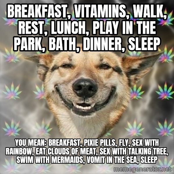 Stoner Dog meme: breakfast, vitamins, walk, rest, lunch, play in the park, bath, dinner, sleep / You mean: breakfast, pixie pills, fly, sex with rainbow, eat clouds of meat, sex with talking tree, swim with mermaids, vomit in the sea, sleep