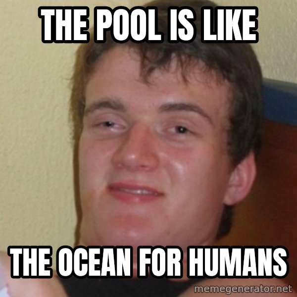 Stoner Stanley meme: The pool is like / The ocean for humans