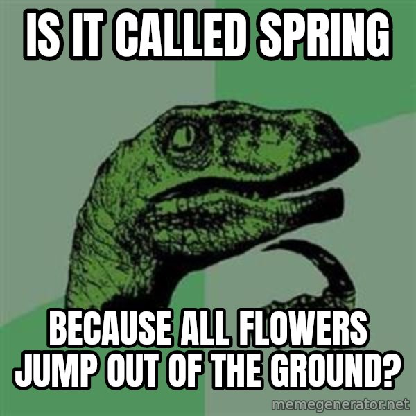 Philosoraptor meme: is it called spring / because all flowers jump out of the ground?