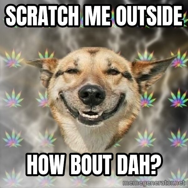 Stoner Dog meme: SCRATCH ME Outside / how bout dah?