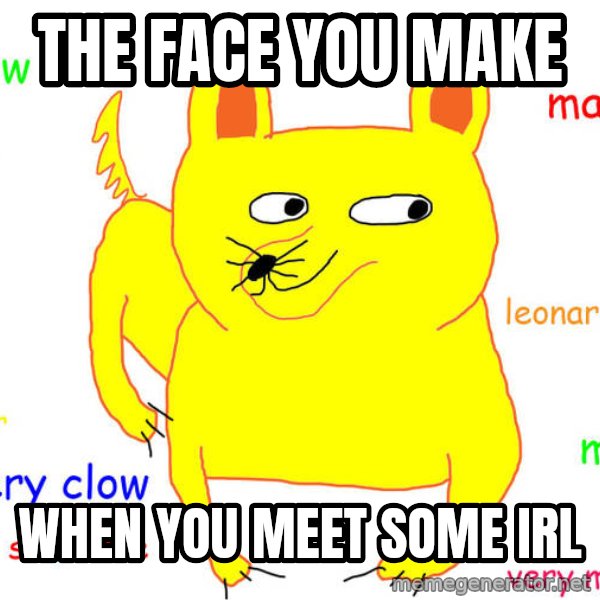 What If I Told You meme: The face you make / when you meet some IRl