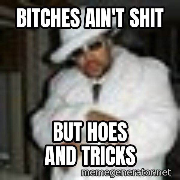 Pimp C meme: bitches ain't shit / but hoes and tricks