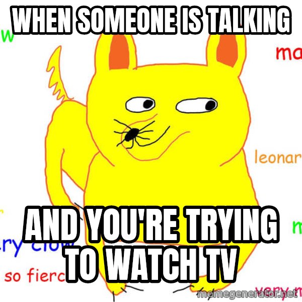 Grumpy Cat  meme: When someone is talking / AND YOU'RE TRYING TO WATCH TV