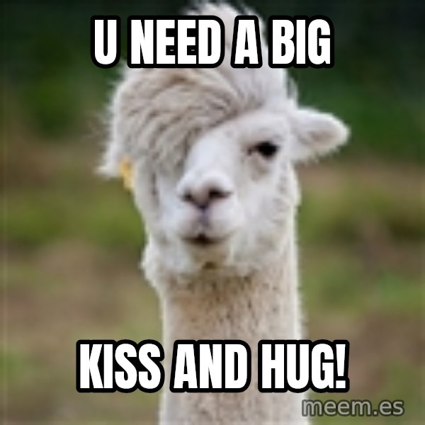 Hipster Llama meme: U need a big / Kiss and hug!