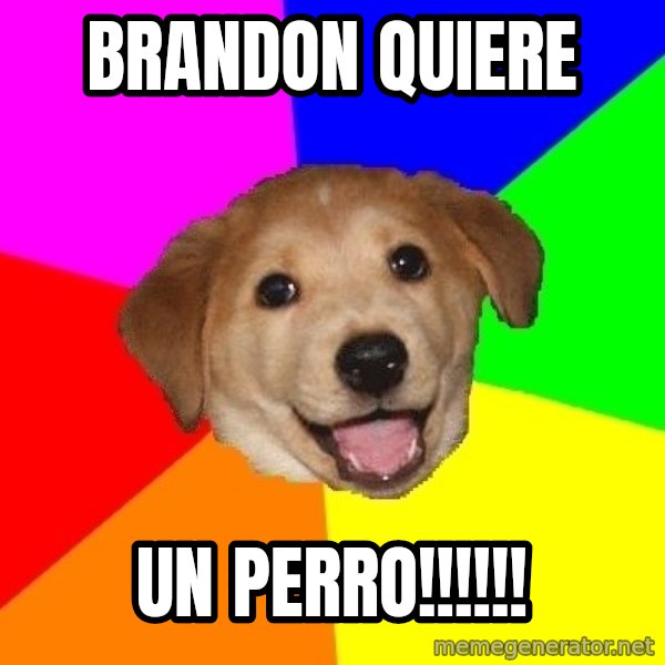 Advice Dog meme: Brandon Quiere / Un Perro!!!!!!
