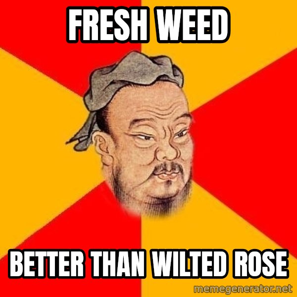 Wise Confucius meme: fresh weed / better than wilted rose